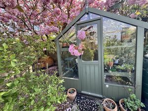 Veggie Garden- click for photo gallery